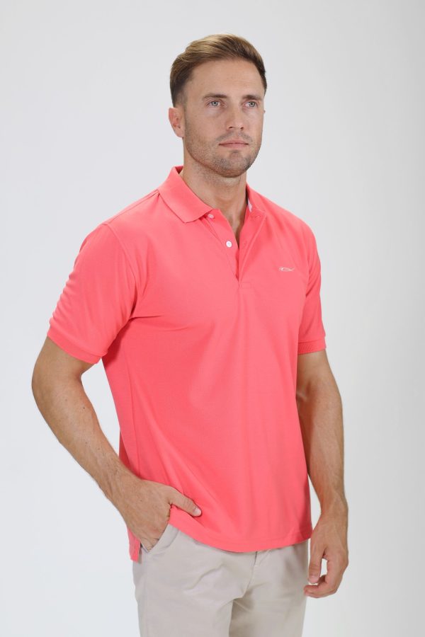 POLO BASIC